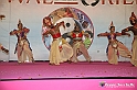 VBS_4867 - Festival dell'Oriente 2022